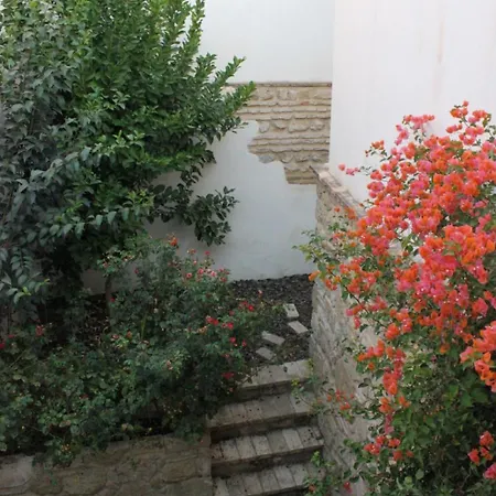Apartamento La Casa De La Escalera 4